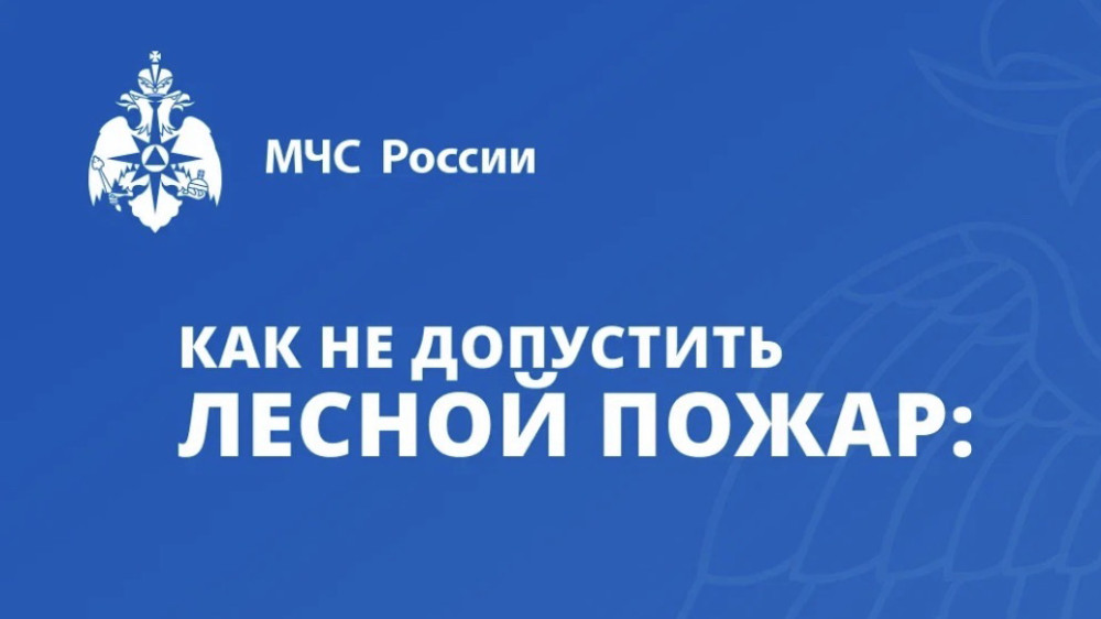 Как не допустить лесной пожар