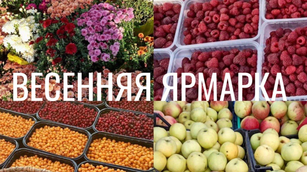 Очередная сельскохозяйственная ярмарка состоится 11 апреля